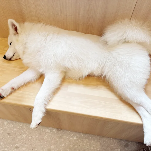 ベンチで脚を伸ばしてお昼寝